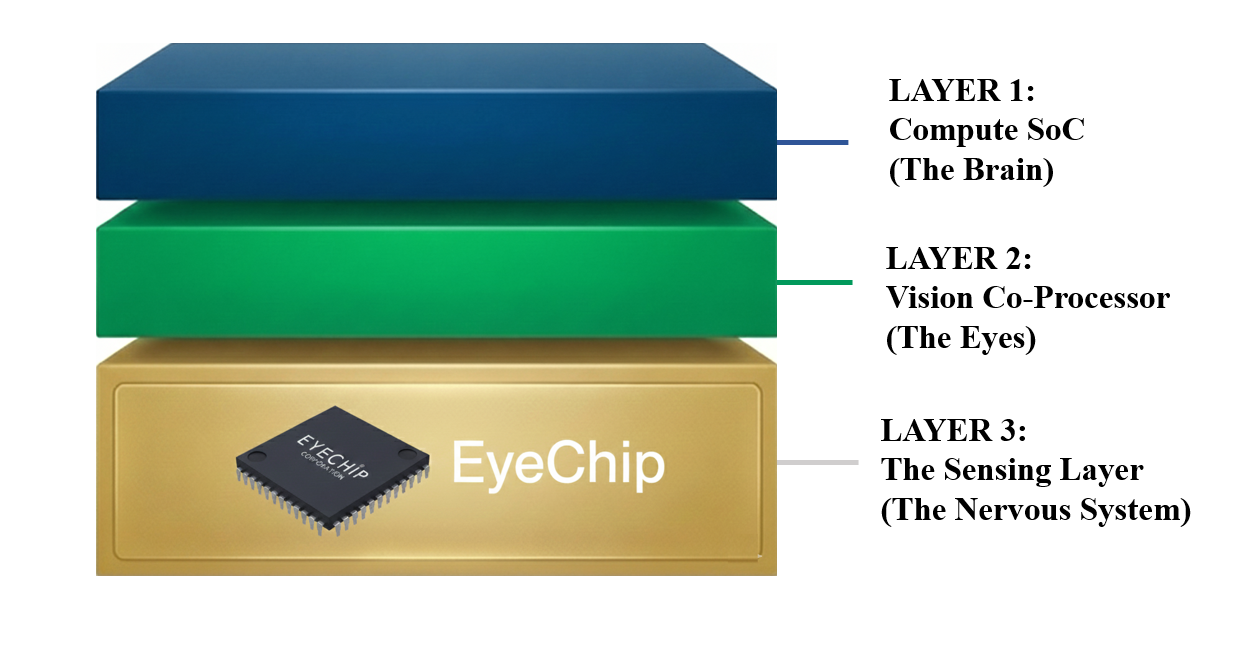 The Real Breakthrough in XR Isn’t Just in the Brain—It’s in the Nervous System.